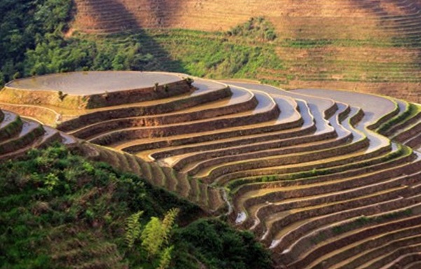 龍脊梯田