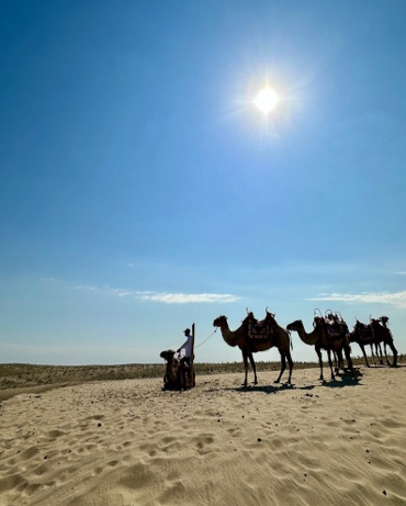 古尔班沙漠公園