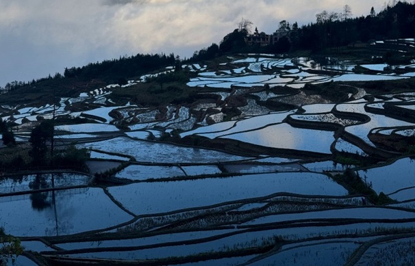 元陽棚田