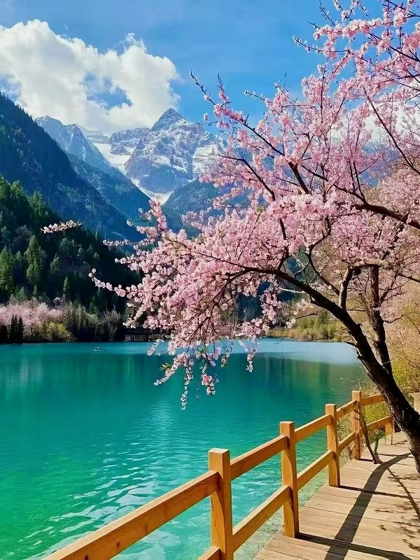 五花海―春